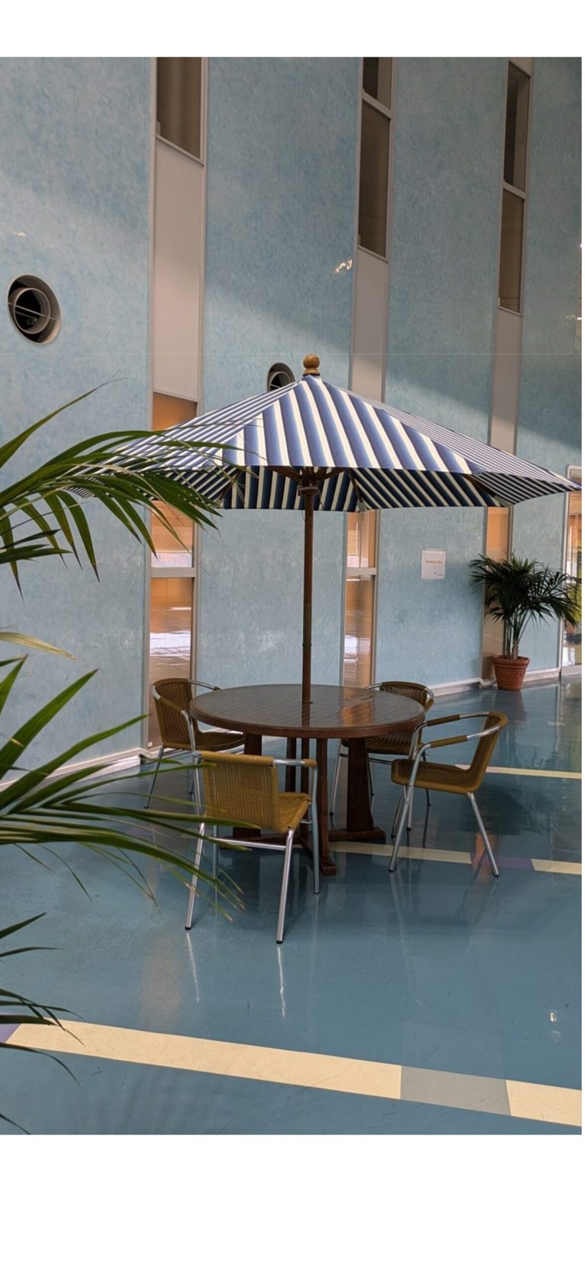 小倉織　小倉縞々の写真5