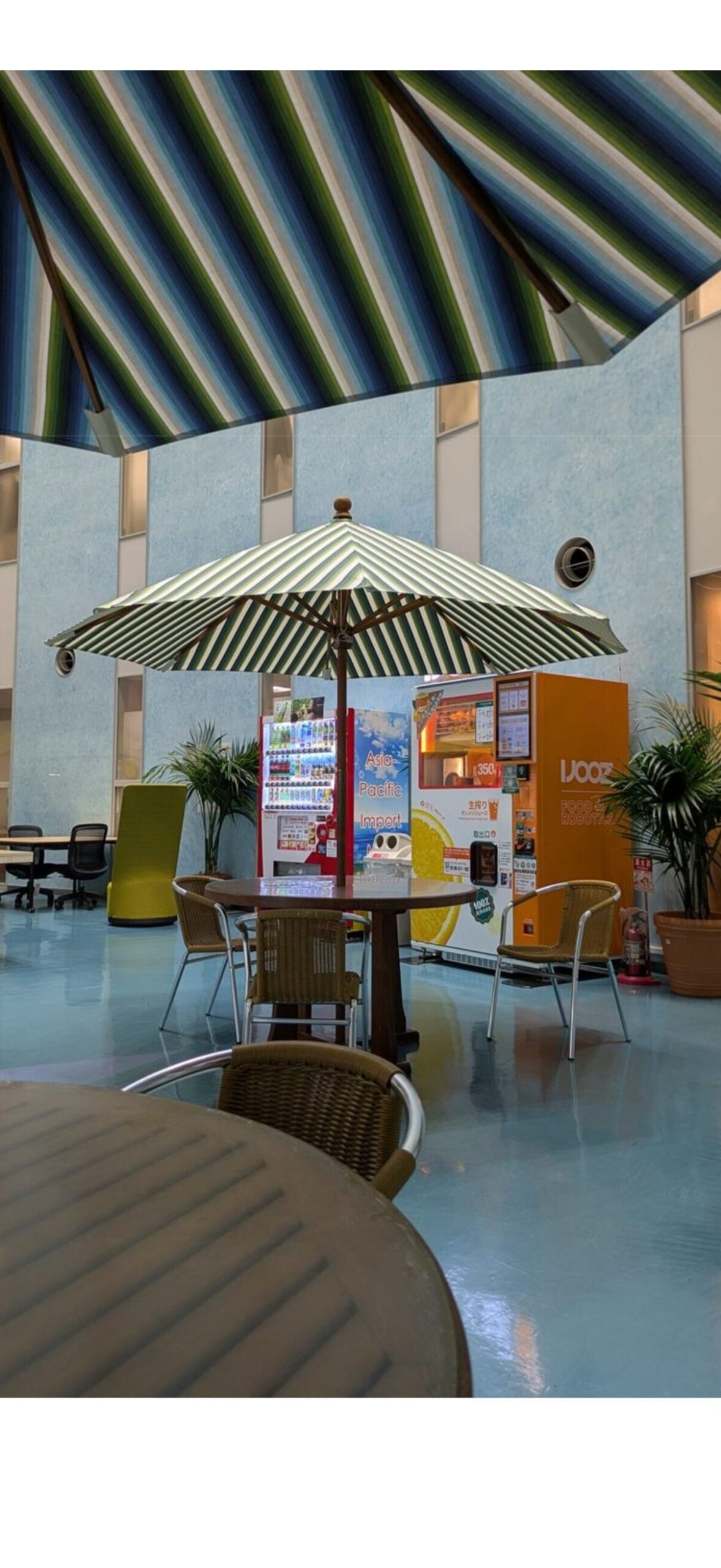 小倉織　小倉縞々の写真4