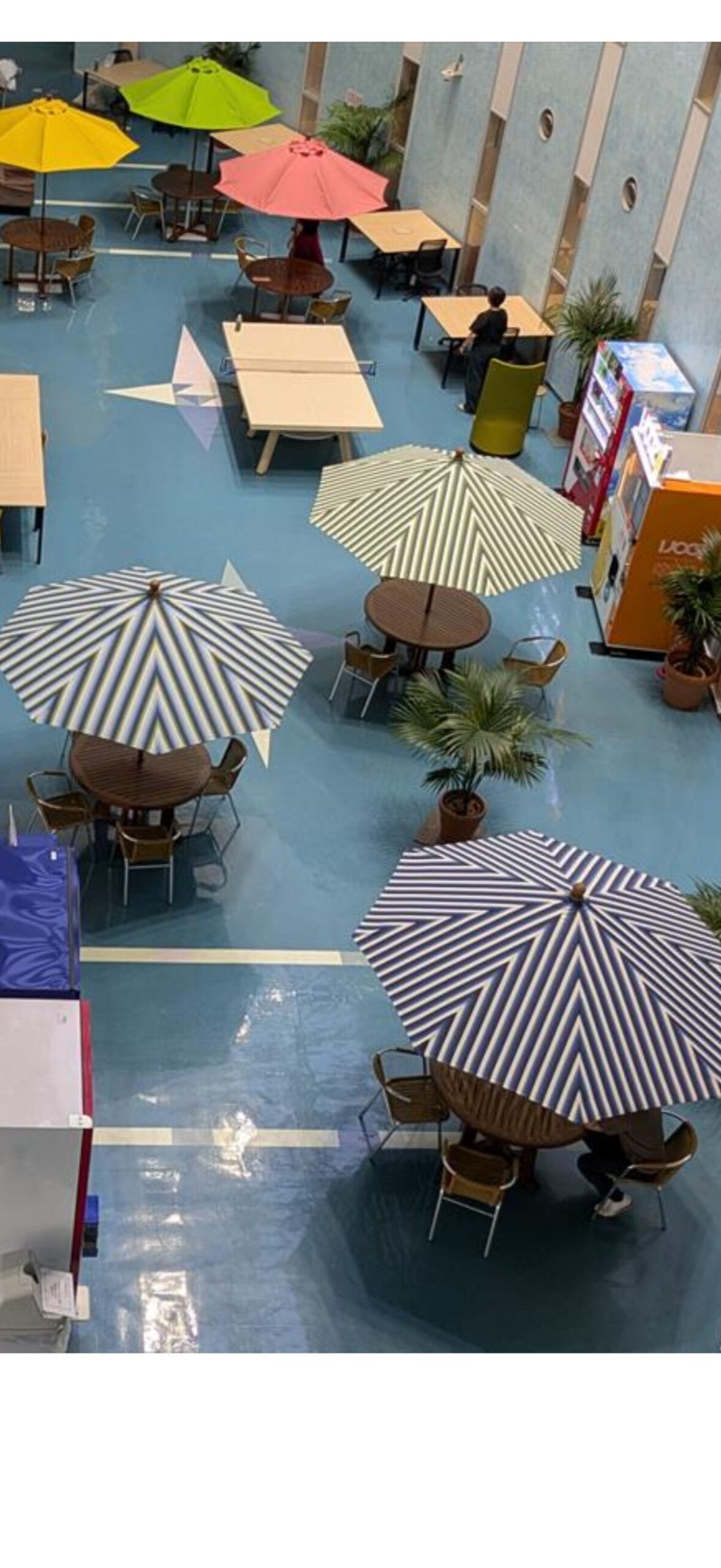 小倉織　小倉縞々の写真2